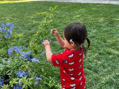 -唐廊烤鸭店(工体店)