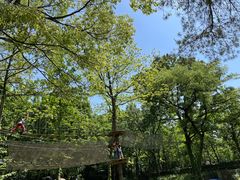 -WeLope紫金山探险公园