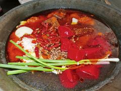 -四小区火锅·巷子里的重庆火锅(花照壁店)