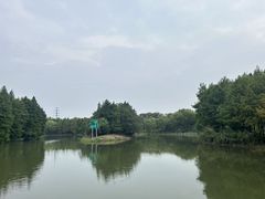 -长广溪湿地公园