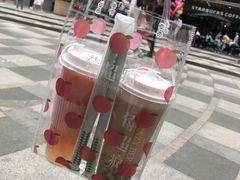 -莓超疯
