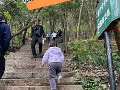 -紫金山山顶公园