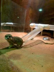 -酷嗒动物文化乐园(cutezoo西溪乐天城店)