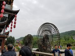 -印象鲵宴·张家界地标美食名片(溪布街店)