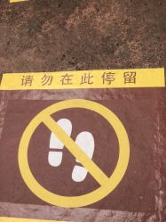 -翱翔飞越地平线