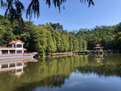 -深圳仙湖植物园
