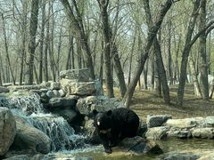 -北京野生动物园