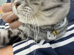 -全心全意连锁动物医院·微创中心·内科急重症·心脏专科(丰管路店)