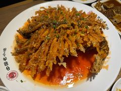 -直隶安家罩饼(复兴路店)