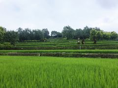 -北坞公园