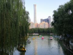-团结湖公园