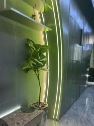 -不迫先生专业男士剪发