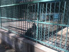 -秦皇岛野生动物园