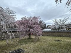 -醍醐寺