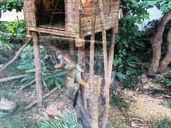 -灵玲国际马戏城