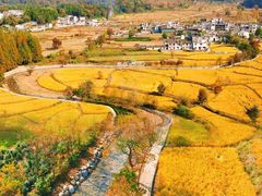 -塔川景区