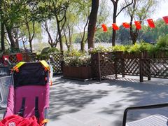 -昆山城市生态森林公园