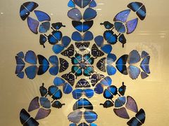 -广州白天鹅宾馆