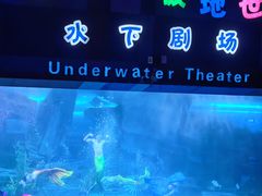 -泉城欧乐堡海洋极地世界