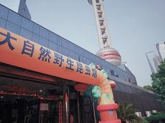 -上海大自然野生昆虫馆(东方明珠·爬宠昆虫探索中心)