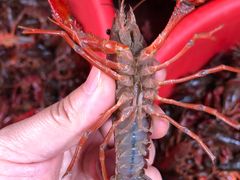 -树木岭集贸市场(劳动东路)