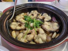 -莆田餐厅PUTIEN(颐堤港店)