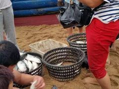 -李官龙王庙海滨旅游度假村