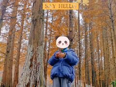 -桤木河湿地公园