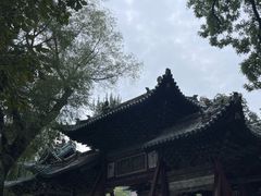-晋祠公园