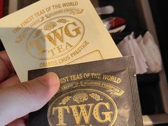 -新加坡瑞士史丹福酒店