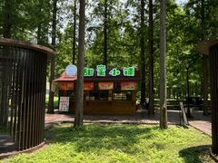 -黄海国家森林公园