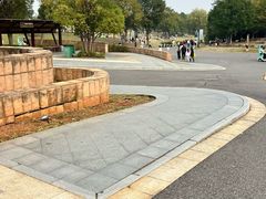 -盘龙城国家考古遗址公园