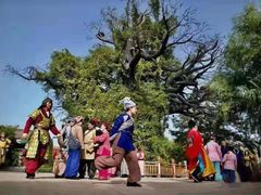 -大槐树寻根祭祖园