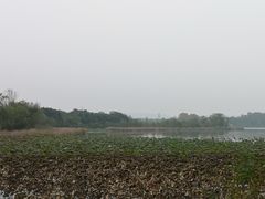 -东湖落雁景区