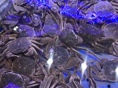 -澜悦港海鲜体验主题餐厅
