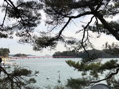 -松岛