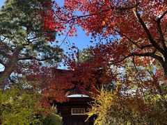 -常寂光寺
