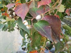 -苏州河梦清园环保主题公园