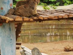-泉州海丝野生动物世界