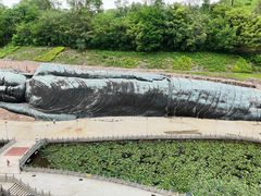 -三水森林公园