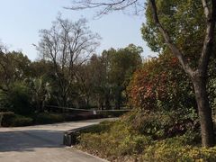 -南翔镇银翔湖公园