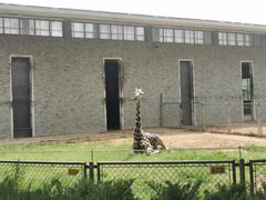 -石家庄市动物园