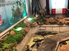-春盛渔府(牛首山店)