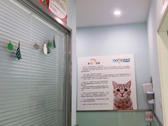 -纳吉亚猫专科动物医院博雅分院