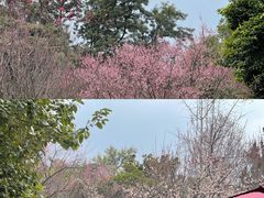 -三岔湖景区