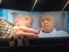 -环球国际影城(天鸿广场LUXE巨幕店)