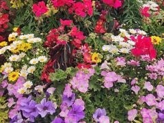 -永和大王(小厨·东四十条店)