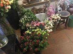 -西关84·History·Art·Cafe