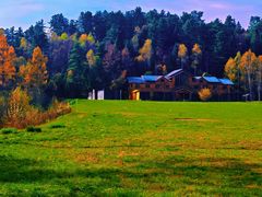 -五营红松林海景区