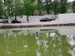 -向外鱼乐·土菜·虹鳟鱼